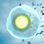 同种异体胸腺细胞再生疗法超过25年临床试验的积极数据，有望在今年内获得美国FDA批准上市丨医麦猛爆料