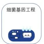 和度生物完成Pre-A轮融资，加速微生物载体基因治疗药物研发