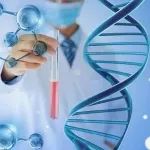基因 | CRISPR技术连获新进展，明星公司Intellia重点研发管线梳理