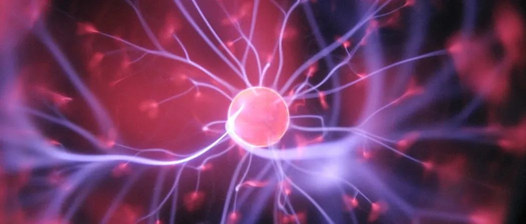Nature揭示：“排毒”真的很重要！有的虫全面开启“排毒模式”后，生生延寿21%