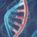 突破mRNA应用的局限，这一技术能带来新一代疗法吗？