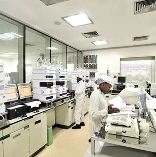 解药|新研究：饿死疟原虫新疗法可取代青蒿素？