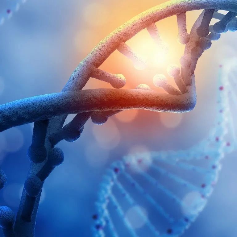 连接性原创技术和极致性创新研究，肿瘤基因检测行业发展宏观趋势下的微观要素