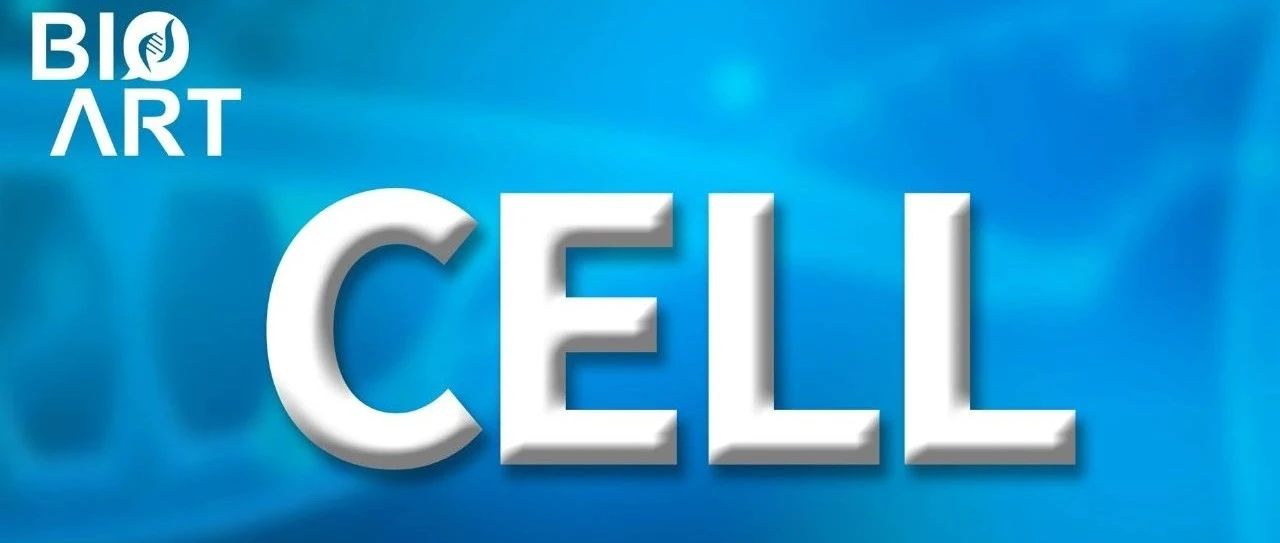 Cell | 谢晓亮团队多维度揭示出生后大脑发育特征