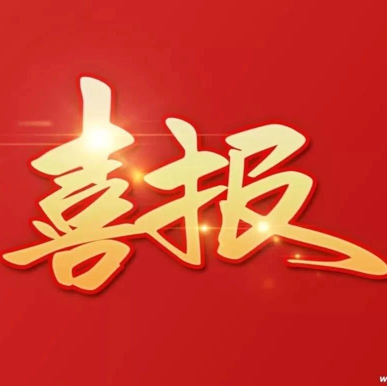 喜讯！高新区马山街道办事处荣获“山东省抗击新冠肺炎疫情先进集体”称号