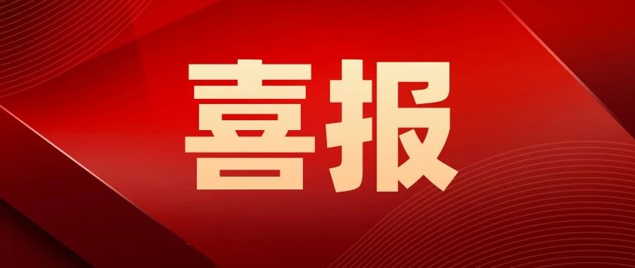 祝贺！宝山学子在这场大赛上获奖357项！
