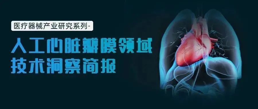 全球第二! 中国人工心脏瓣膜技术专利申请量快速增长