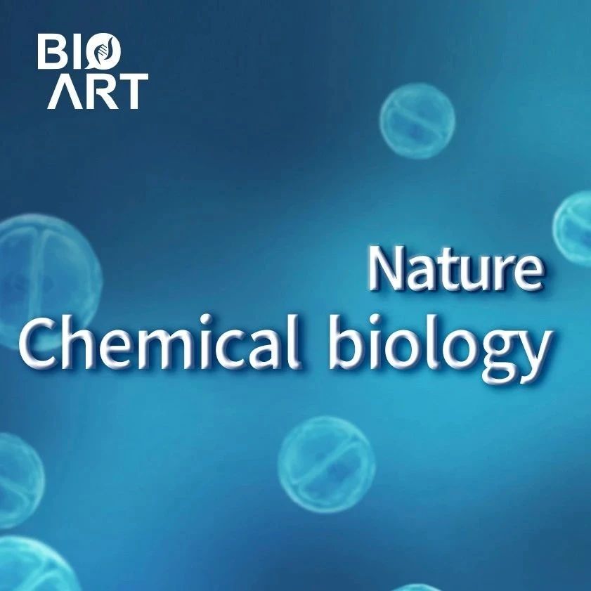 Nat Chem Biol | 何蓉蓉团队等报道铁死亡新调控蛋白iPLA2β——逆转铁死亡或为治疗帕金森病的新策略