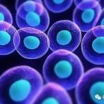 2022最新细胞治疗产品GMP指南落地实施
