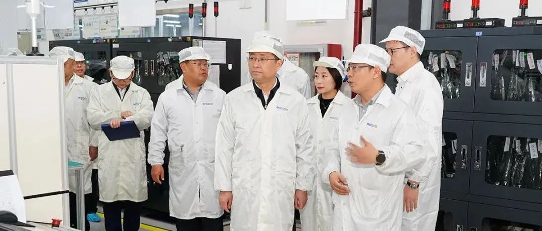 加快打造产业科创主阵地！今天，毛伟调研了这些企业！