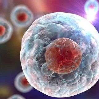 【新春喜讯】汉氏联合集团第5个干细胞新药临床试验申请获批丨医麦猛爆料