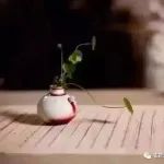 5家药企获批中药配方颗粒临床试用！