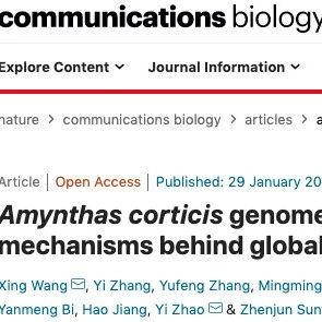 蚯蚓高质量基因组揭示其全球分布与生态可塑性的分子机制