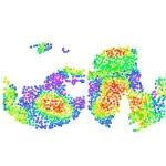Cell新突破：没有显微镜的显微成像，剖析所有基因表达