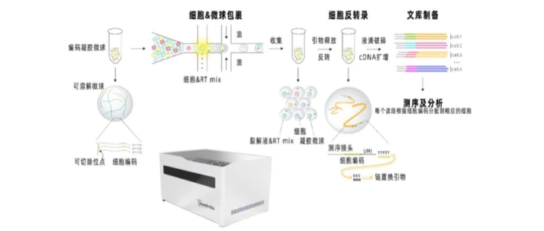 新品推介 | 达普生物推出单细胞测序整体解决方案，多项液滴微流控关键技术提供更多可能