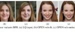 CVPR2021论文能修复马赛克？香港理工大学新研究，修复模糊图像！
