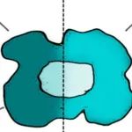 研发 | ESMO World GI 2021落幕，PTEN基因缺陷迎来新药