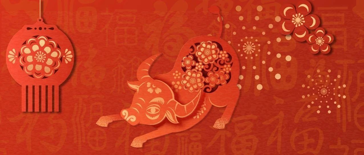 牛年只有354天！关于牛年，还有哪些知识点？