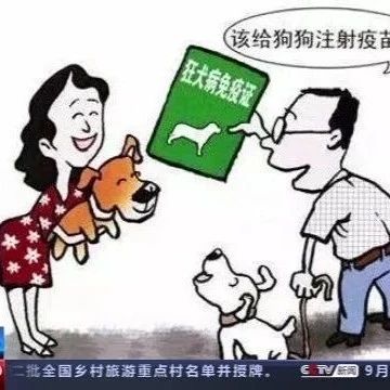 猫狗虽可爱，也要注意安全哦！我国首部动物致伤诊治规范颁布！