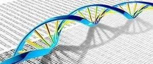 科学家发现人类基因组测序新成果，有望推动对人类疾病的研究！