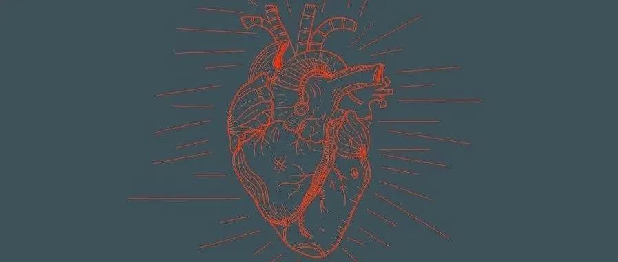 中国科学家揭示预防心力衰竭关键靶点——神经氨酸酶NEU1