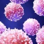 PNAS：如何维持自我控制？科学家揭示人类机体免疫系统的精细化平衡机制！