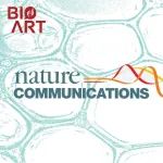 Nat Commun | 龚欣团队揭示视觉系统关键脂质转运蛋白ABCA4的底物识别和转运机制