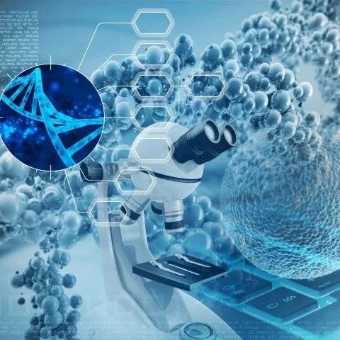 推进抗癌NK细胞疗法！新锐公司完成1.2亿美元B轮融资