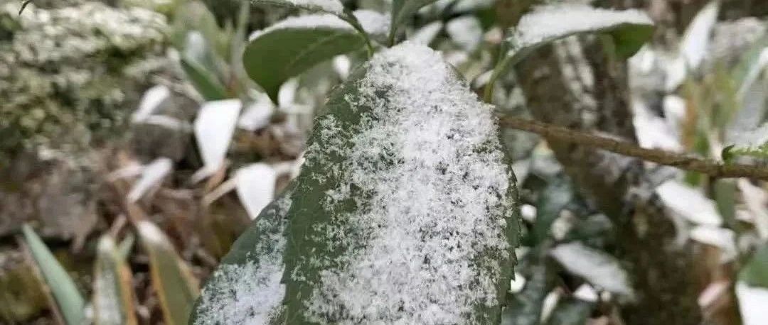 惊，某医药大省21个药企主动申请注销《药品生产许可证》