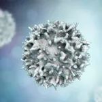 Acepodia完成4700万美元B轮融资，推进同种异体细胞疗法
