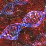 Science：最大规模癌症全基因组分析，发现58个新的、罕见突变特征