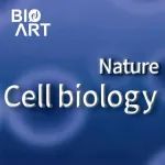 Nat Cell Biol | 竺晓凡/古槿/程涛团队合作首次揭示白血病微小残留病的本质