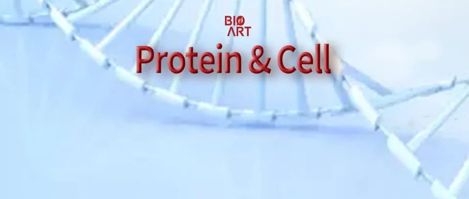 ​专家点评Protein & Cell丨颠覆经典学说，李晓江团队揭示遗传性帕金森疾病新机制