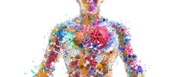 BioNews | Synthetic Biologics：上涨+99.96%，近期更新SYN-004Ib/IIa期临床方案获批