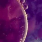 BioNews | Anchiano：宣布投票通过与Chemomab Ltd.合并，多日股价大幅震荡