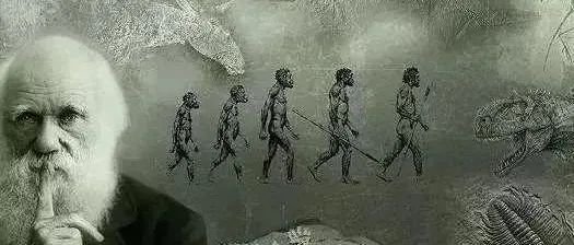 TORCH检测试剂研发抗原选择策略综述