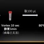 最新消息 | 周荣教授团队取得核酸提取技术新突破