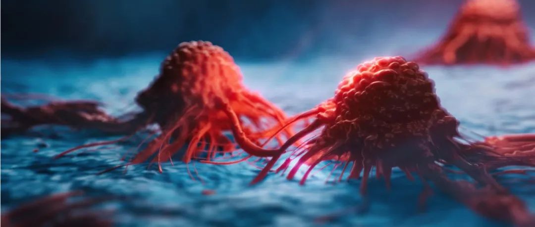 BioNews | 天境生物：Efineptakin Alfa联合Pembrolizumab治疗晚期实体瘤2期临床首例患者给药