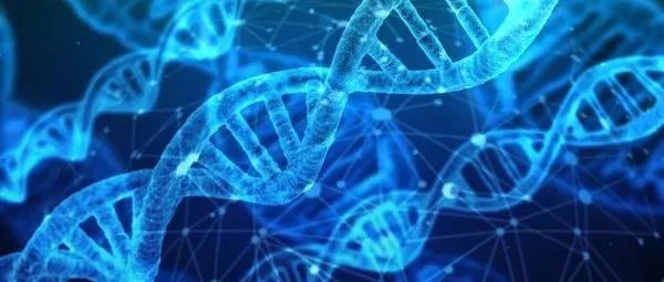 基因疗法治疗白细胞黏附缺陷症获FDA再生医学高级疗法资格认定 | 资讯