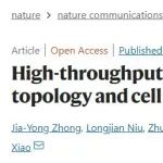 肖传乐/侯春晖团队建立HiPore-C技术，揭示三维基因组的单分子拓扑结构多样性和细胞异质性 | Nat Commun