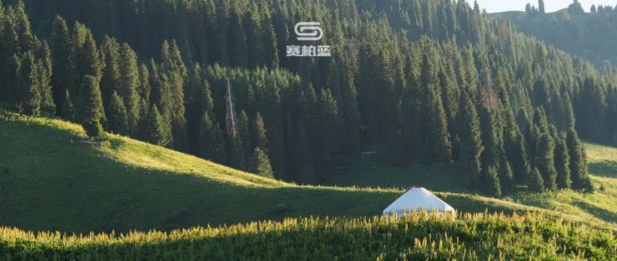 8家知名药企，董事长辞职