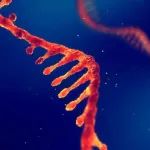 Nature子刊：清华大学张强锋团队开发RNA二级结构探测新技术