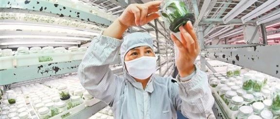 加快构建现代化产业体系 打造经济高质量发展新引擎