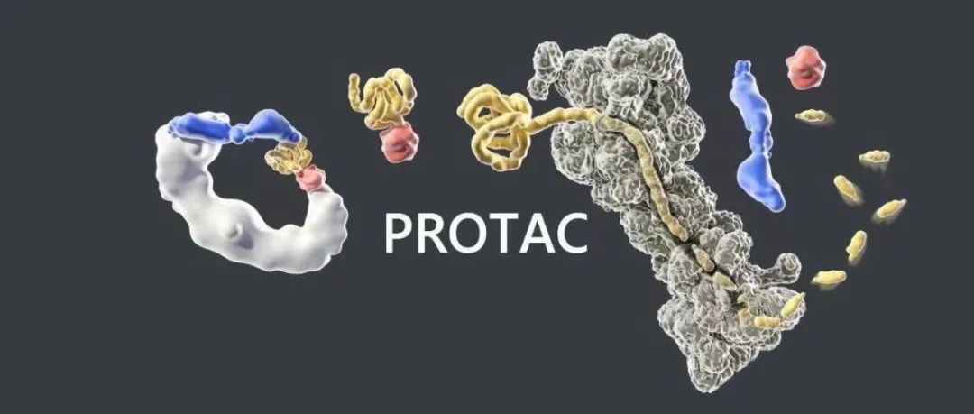 PROTAC递送系统最新研究进展及未来发展趋势