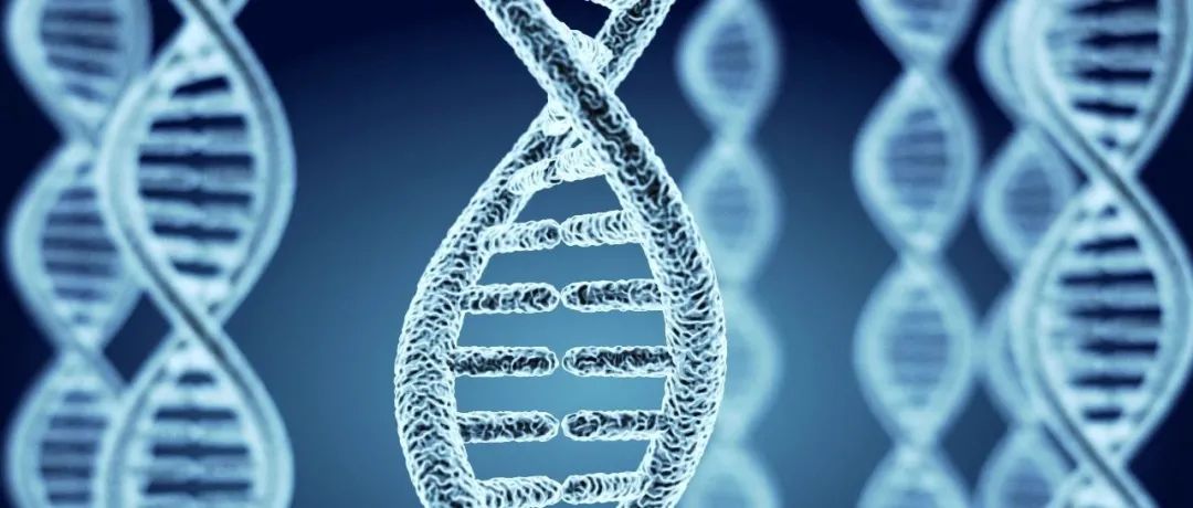 鼎新基因：以基因精准递送推动创新药物研发
