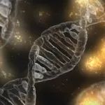 累计融资超4亿美元，基因编辑领域新星Inscripta未来可期