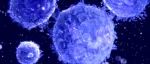 癌症免疫疗法最新研究：叶丽林/唐忠辉/孙倍成教授等发现全新肿瘤记忆性T细胞