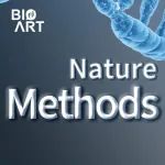 Nature Methods | 王琳等揭示哺乳动物组织内能量代谢活动的空间分布