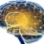 ​让瘫痪失语患者重新“说话”？NEJM揭示一款“黑科技”产品
