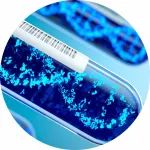 世界首个DNA疫苗获批，更易生产和保存，它会是疫苗学的未来吗？